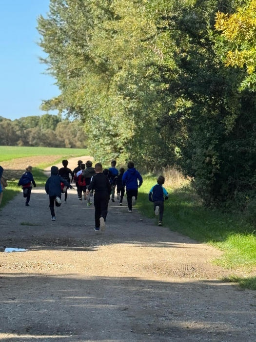 crosslauf.jpg crosslauf.jpg